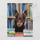 Recherche de bibliothécaire cartes postales Bibliothèque