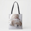Search for dog sleeping bags Photography