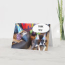 Search for care christmas cards Veterinarian