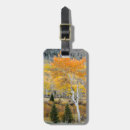 Search for willow tree accessories Colourful