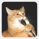 Search for orange marmalade stickers Kitty