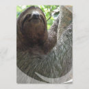 Recherche de paresse invitations Zoo