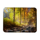 Recherche de foret magnets Pour elle