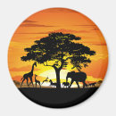 Recherche de savane magnets Nature