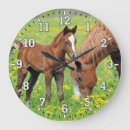 Recherche de poulain horloges Cheval