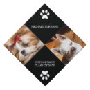 Search for dog graduation cap toppers Puppy