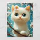 Recherche de yeux cartes postales Chaton mignon