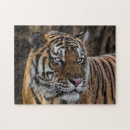 Search for tiger face puzzles Cat