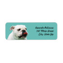 Search for bulldog return address labels Animal