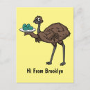 Search for emu postcards Wildlife