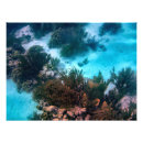 Recherche de plongeurs posters Snorkeling