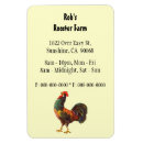 Recherche de rooster magnets Poulets