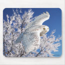 Search for owl mousepads Snow