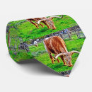 Recherche de ranch cravates Vache