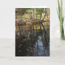 Search for fall scene cards Photography