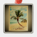 Search for cozumel ornaments Island