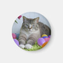 Recherche de oeuf magnets Mignonette