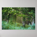 Recherche de feuillu posters Nature
