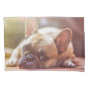 Search for bulldog pillowcases Animals
