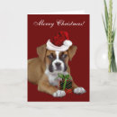 Search for boxer dog christmas cards Dogs