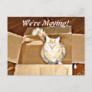 Search for moving boxes invitations Cat