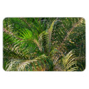Recherche de clairs magnets Nature