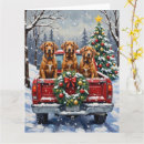 Search for vizsla christmas cards Snow
