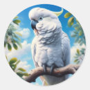 Search for cockatoo stickers Animal