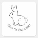 Recherche de suivez le lapin blanc Toute personne