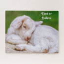 Recherche de sommeil puzzles Animal
