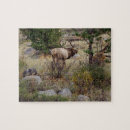 Search for big game hunting puzzles Elk