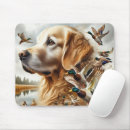 Search for bird hunt electronics Dog