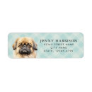 Search for pekingese return address labels Cute
