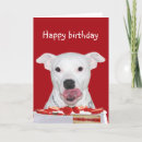 Recherche de bull terrier anniversaire cartes Pitbull