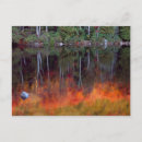 Recherche de desert island posters Arbre