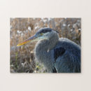 Recherche de jaune et gris puzzles Oiseau