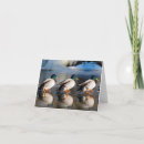 Search for ducks note cards Winter