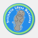 Search for manatee magnets Ocean