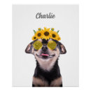 Recherche de animaux portraits Dog