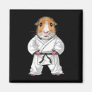 Search for dojo magnets Taekwondo