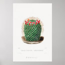 Recherche de dessin de cactus posters Pour elle
