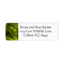 Search for bridges return address labels Nature