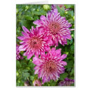 Search for raindrop photography Flowers
