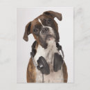 Recherche de chien boxer cartes postales Animaux domestiques