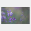 Search for lupine stickers Floral