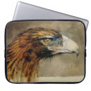 Search for golden eagle cases Falcon