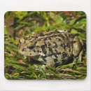 Recherche de focal tapis souris Extérieur