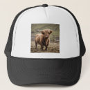 Recherche de corné casquettes Vache