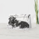 Search for black lab birthday cards Labrador