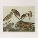 Recherche de athene puzzles Oiseau